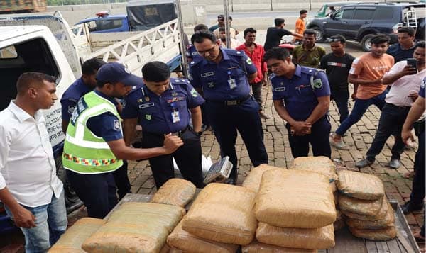 সলঙ্গায় পিকআপে গাঁজার খনি! হাইওয়ে পুলিশের দক্ষতায় জব্দ