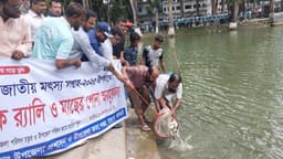রাজাপুরে জাতীয় মৎস্য সপ্তাহে পোনা অবমুক্ত, র‌্যালি