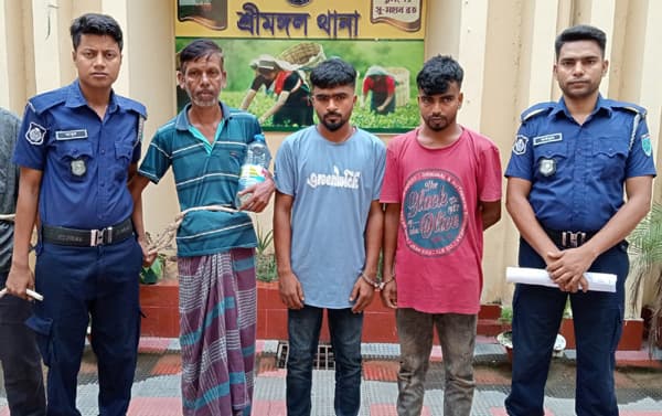 শ্রীমঙ্গলে মাদক মামলার সাজাপ্রাপ্ত তিন আসামি গ্রেফতার