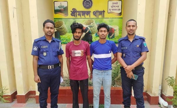 সাজা এড়াতে পালিয়েও রক্ষা হলো না, মৌলভীবাজারে গ্রেফতার ৩