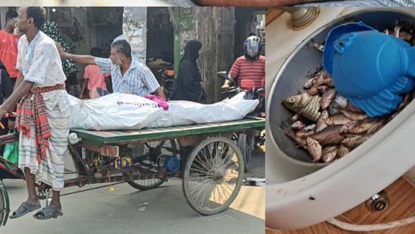 পুঁটি মাছ কাটা নিয়ে স্ত্রীকে হত্যা করে থানায় হাজির স্বামী !