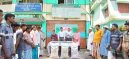 হিলিতে প্রান্তিক কৃষকদের মাঝে বিনামূল্যে মাসকলাই বীজ ও সার বিতরণ