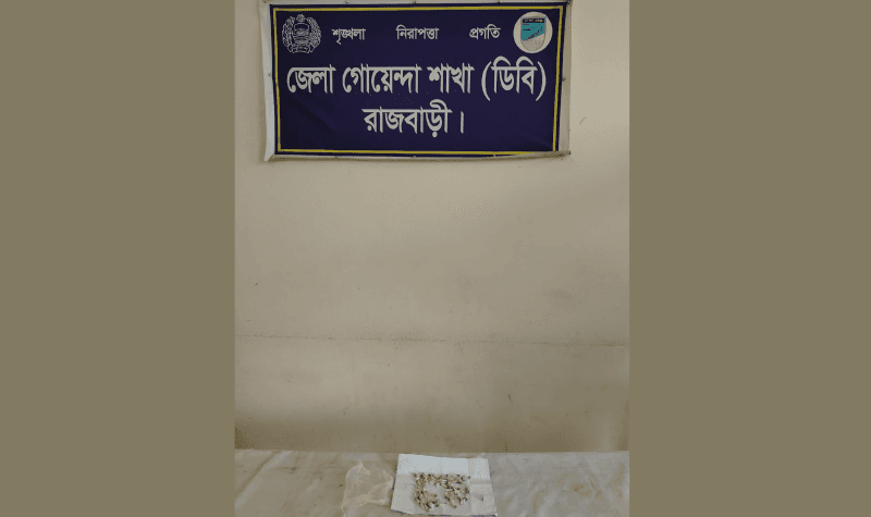 গোয়ালন্দে ডিবির অভিযানে হেরোইনসহ মাদক ব্যবসায়ী গ্রেফতার