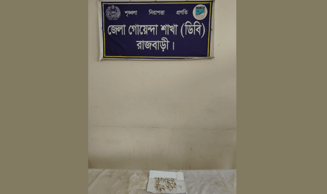 গোয়ালন্দে ডিবির অভিযানে হেরোইনসহ মাদক ব্যবসায়ী গ্রেফতার