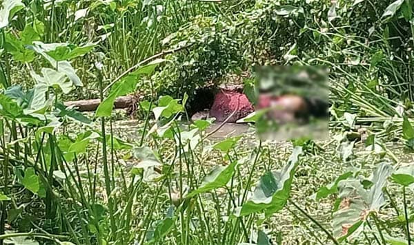 বরিশালে ডোবা থেকে যুবকের লাশ উদ্ধার, রহস্য খুঁজছে পুলিশ