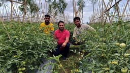গ্রীষ্মকালেও টমেটো চাষে কৃষক রাকিবুল হাসানের দৃষ্টান্ত স্থাপন