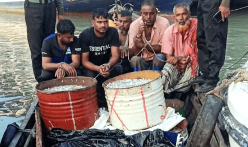 মেহেন্দিগঞ্জে নদীতে অভিযান, ১৪ ড্রাম জাটকা জব্দ, আটক ৫  