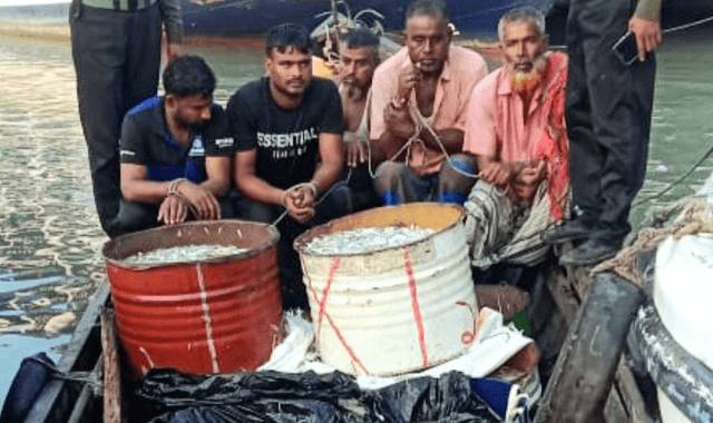 মেহেন্দিগঞ্জে নদীতে অভিযান, ১৪ ড্রাম জাটকা জব্দ, আটক ৫  