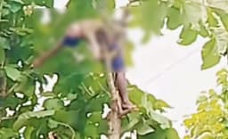 দীঘিনালায় গাছ কাটতে গিয়ে বিদ্যুৎস্পৃষ্টে যুবকের মৃত্যু