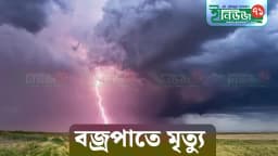 পাংশায় বজ্রপাতে নারী ও কিশোরের মৃত্যু