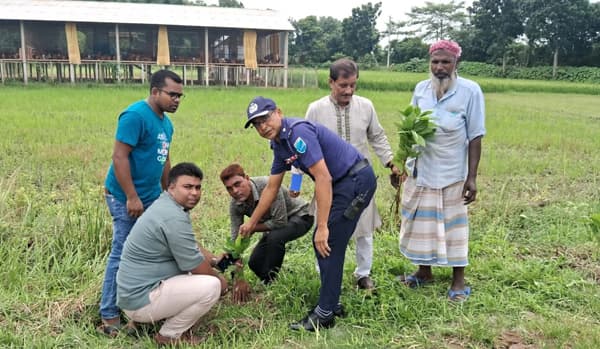 গোয়ালন্দে ওসির উদ্যোগে সামাজিক বনায়নে ব্যাপক কার্যক্রম