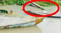 বরিশালে বাল্কহেডের ধাক্কায় ব্রিজ ভেঙে চার গ্রামে যোগাযোগ বিচ্ছিন্ন