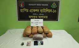 রাজবাড়ীতে র‌্যাবের অভিযানে বিপুল পরিমাণ গাঁজা উদ্ধার