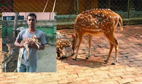 শ্রীমঙ্গলে বন্যপ্রাণী ফাউন্ডেশনে ৬৫২ প্রাণী অবমুক্ত