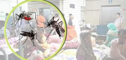 জুলাইয়ে ডেঙ্গুতে মৃত্যু রেকর্ড, আতঙ্ক বাড়ছে