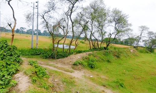 দুই যুগেও আলোর মুখ দেখেনি ধানসিঁড়ি ইকোপার্ক