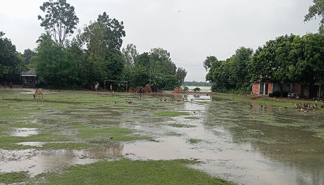 সামান্য বৃষ্টিতেই আত্রাইয়ে স্কুল মাঠে জলাবদ্ধতা,  বিপাকে শিক্ষার্থীরা