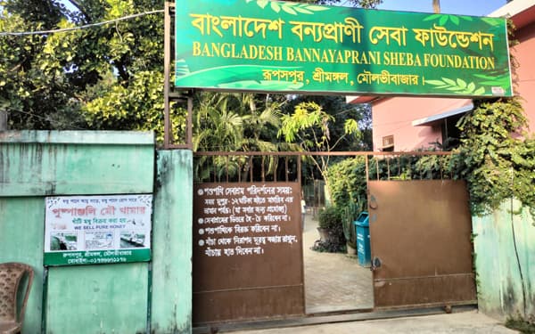 শ্রীমঙ্গলে ১০ মাসে ৩৮টি বন্যপ্রাণী উদ্ধার