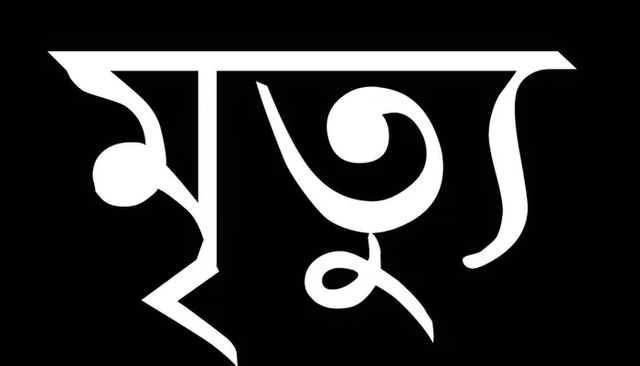 ভূরুঙ্গামারীতে বিদ্যুৎ স্পৃষ্টে বৃদ্ধের মৃত্যু