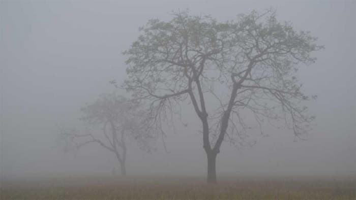 দেশের সর্বনিম্ন তাপমাত্রা এখন শ্রীমঙ্গলে