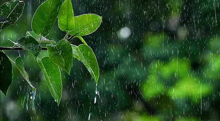 দেশে বজ্রসহ বৃষ্টির পূর্বাভাস