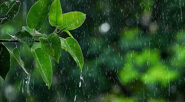 দেশে বজ্রসহ বৃষ্টির পূর্বাভাস