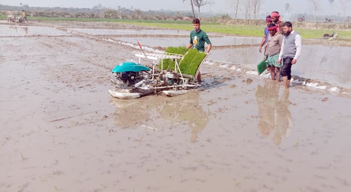 লালপুরে শুরু হয়েছে ‘রাইস ট্রান্সপ্লান্টার’ মেশিনে ধানের চারা রোপণ