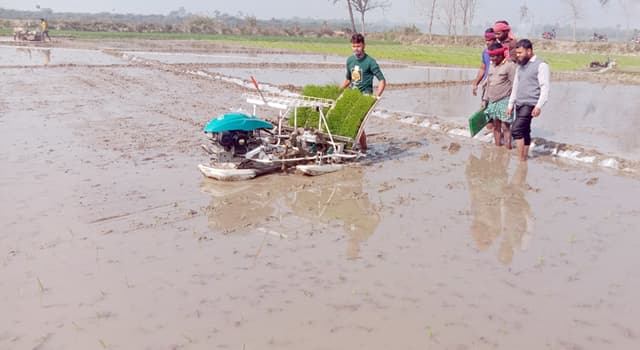 লালপুরে শুরু হয়েছে ‘রাইস ট্রান্সপ্লান্টার’ মেশিনে ধানের চারা রোপণ