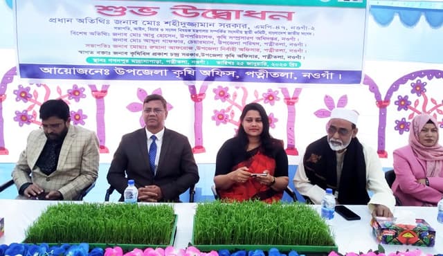 নওগাঁয় সমলয় পদ্ধতিতে চারা রোপনের উদ্বোধন
