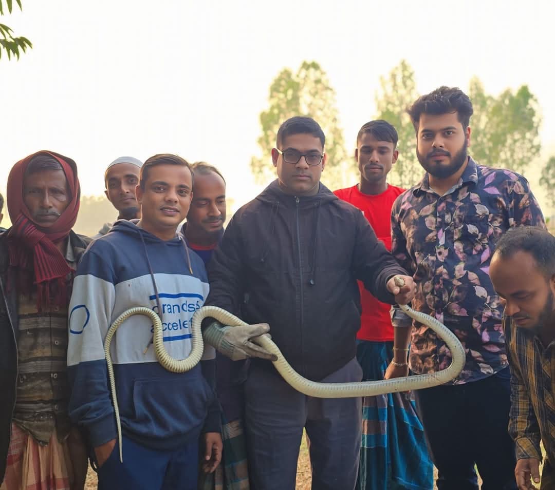 শ্রীমঙ্গলে জালে আটকে পড়া দাঁড়াশ সাপ উদ্ধার, বন্যপ্রাণী সেবা ফাউন্ডেশন হস্তান্তর