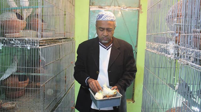 শখ থেকে পাখি পালন করে সফল ব্যবসায়ী আমেরিকা প্রবাসী জিল্লুর