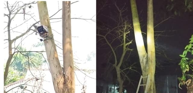 ভূরুঙ্গামারী সীমান্তে বসানো ক্যামেরা সরালো বিএসএফ