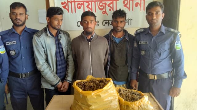 খালিয়াজুরীতে তিন কেজি গাঁজাসহ তিন মাদক ব্যবসায়ী আটক