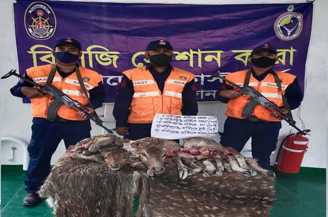 সুন্দরবনে কোস্টগার্ডের অভিযানে হরিণের মাংস, মাথা ও চামড়া জব্দ