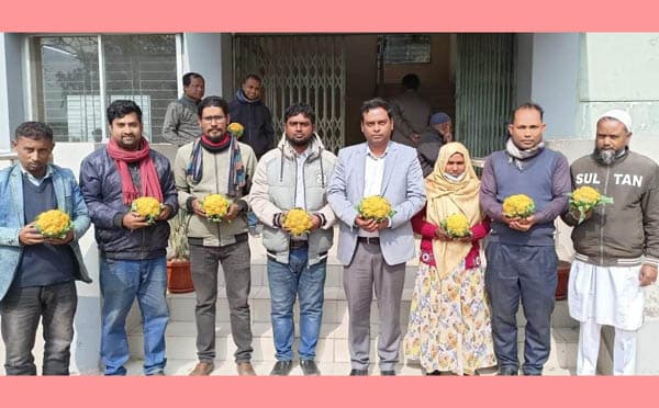 রঙিন ফুলকপি চাষে আগ্রহ বাড়ছে সীমান্তবর্তী কৃষকদের