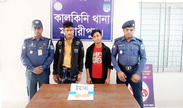 কালকিনিতে ৪শ পিস ইয়াবা ও গাঁজাসহ আটক-২