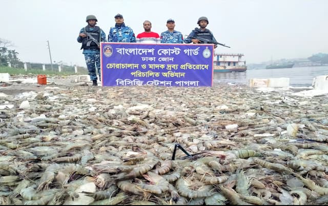 কোস্ট গার্ডের পৃথক অভিযানে ১২২৫০ কেজি জেলি মিশ্রিত চিংড়ি জব্দ