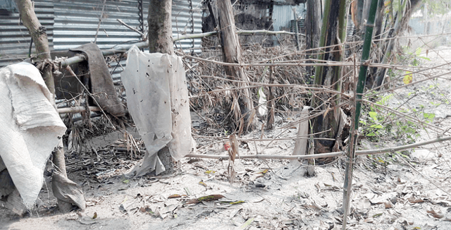 শহীদ বীর মুক্তিযোদ্ধার তিন পরিবার ৪০ দিন ধরে অবরুদ্ধ