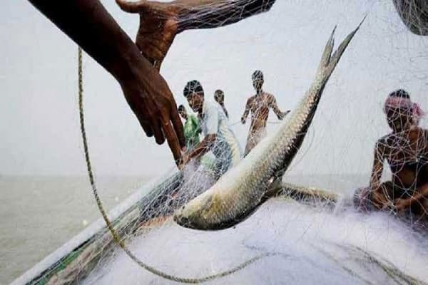আজ থেকে ৬ জেলায় মাছ ধরা নিষেধ