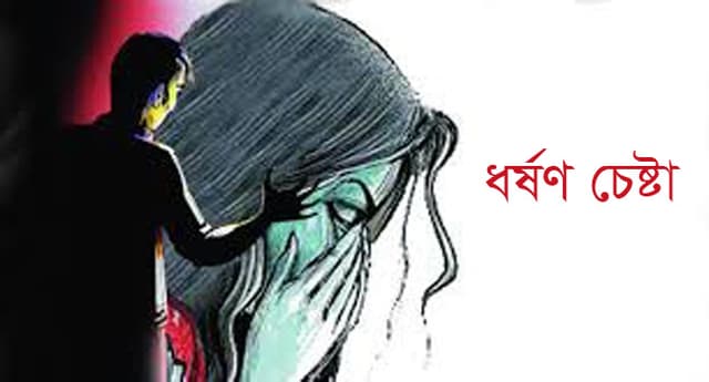 গৃহকর্মীকে ধর্ষণের চেষ্টার অভিযোগে মামলা