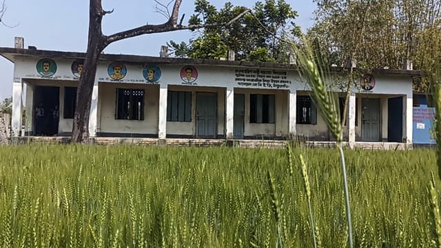 স্কুল মাঠে গমের আবাদ, বিনোদন বঞ্চিত শিক্ষার্থীরা
