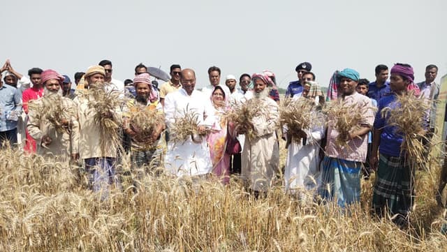 কলাপাড়ায় কৃষক সমাবেশ অনুষ্ঠিত