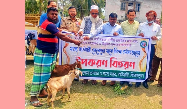 কাউখালীতে কার্ডধারী জেলেদের মাঝে ছাগল বিতরণ