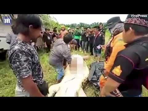 বাবার সামনেই ছেলেকে গিলে খেল কুমির