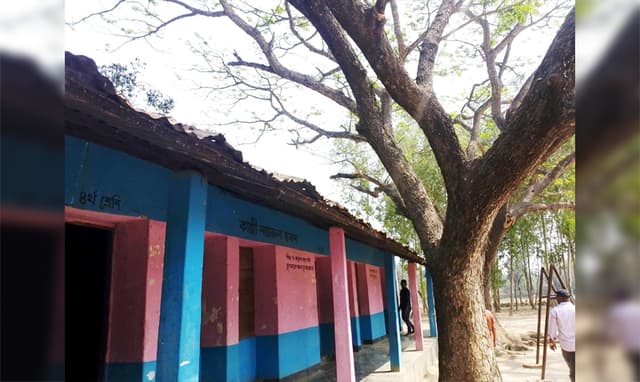 রায়গঞ্জে স্কুল মাঠে গাছ; ঝুঁকিতে শিক্ষার্থীরা!