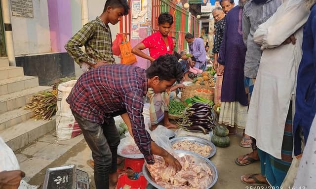 ব্রয়লার মুরগি কেজি ১৫০!