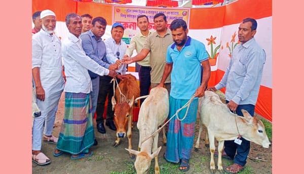 কাউখালীতে সুবিধাভোগী জেলেদের মাঝে বকনা বাছুর বিতরণ