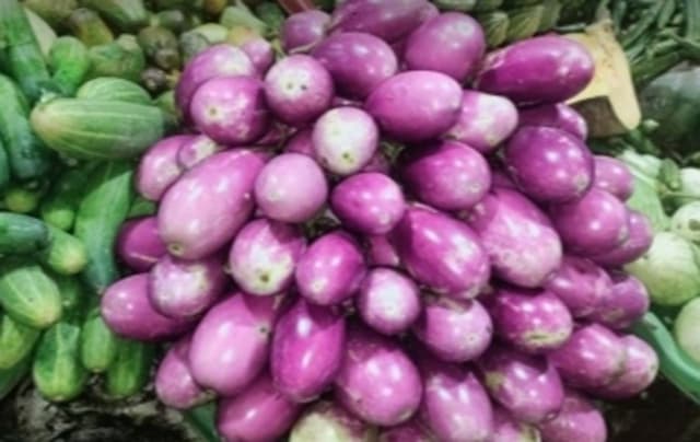 বেগুনের কেজি ৫ টাকা