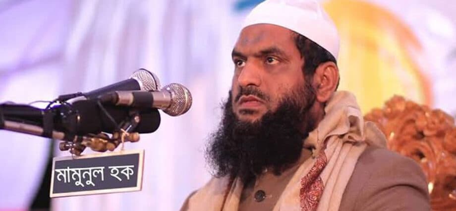 মামুনুল হককে আসামি করে আরও ৩ মামলা