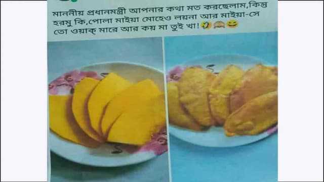 কুমড়া বেগুনী দিয়ে মহিলা লীগের ২ নেত্রী বহিষ্কার